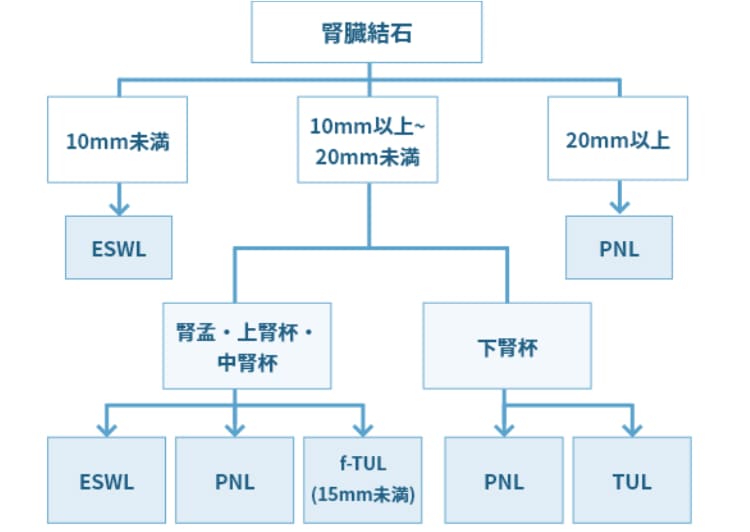 腎臓結石が見られた場合の、大きさや部位による手術方法
